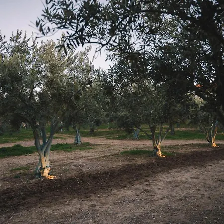 Od Bed & Breakfast Urla