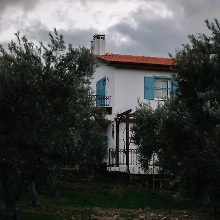 Od Urla