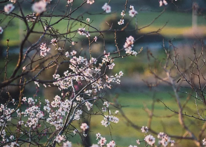 Bed & Breakfast Od Urla