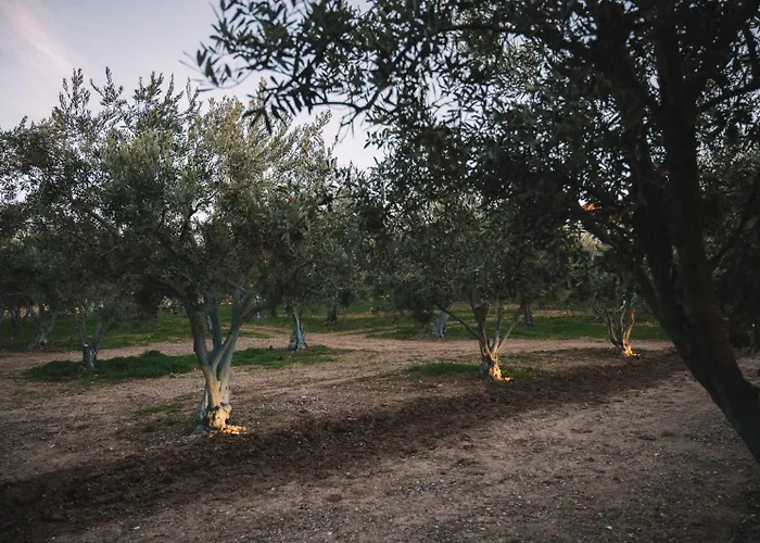 Oda ve Kahvaltı Od Urla