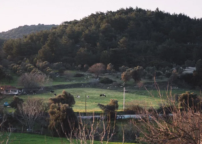 Od Oda ve Kahvaltı Urla